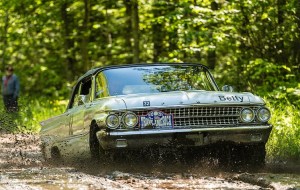 Image Copyright Gerard Brown 2015