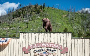 Yellowstone